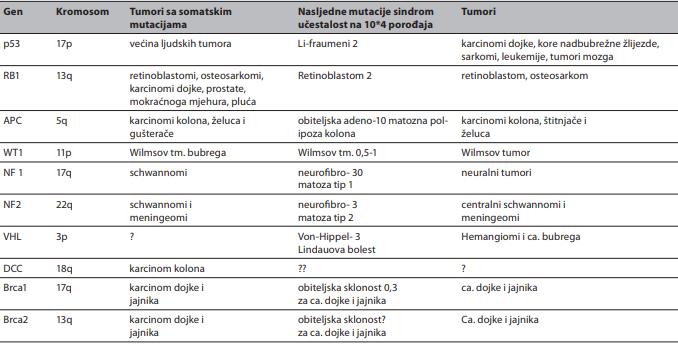 Tabela 3* Antionkogeni kod ljudi[preuzeto iz: Stjepan Gamulin, Matko Marušić, Zdenko Kovač i sur. Patofi ziologija. V. izdanje. Školska knjiga, Zagreb, 2005.