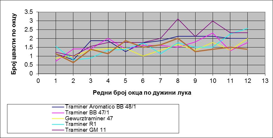 Винка Јошић Мастер рад Резултати испитивања Графикон 2. Број цвасти по окцу према положају на луку за испитиване клонове сорте Traminer (Сремски Карловци, 2015.