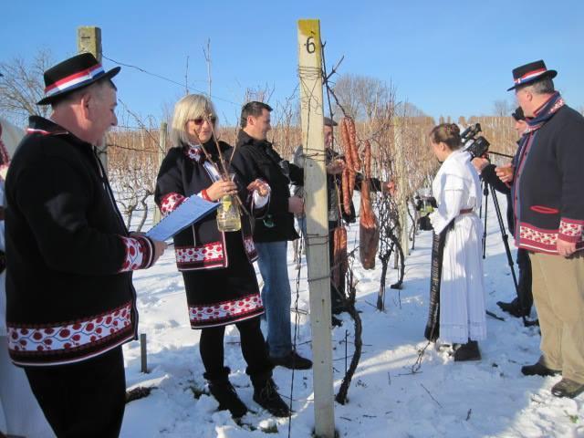 Ova obitelj njeguje i tradicijske običaje vezane uz vino te se posebno i svečano obilježava Vincekovo kada se u narodnim nošnjama uz tamburaše, gosti vode u vinograd gdje se blagoslivlja trsje (Slika