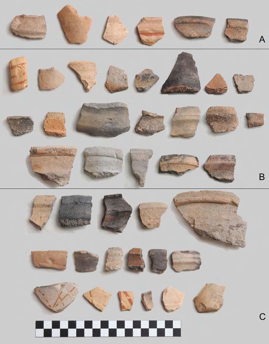 Z. Marković et al., REZULTATI TERENSKOG PREGLEDA OPĆINA NAŠICE I KOŠKA 2015..., Ann. Inst. Archaeol. XII/2016., str. 185-191 Sl. 5 Fig.