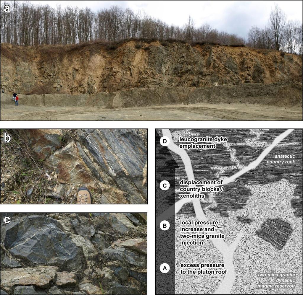 (a) Panoramski pogled na jedan dio kamenoloma Pleterac, vidljivi su metabazitni blokovi u granitnoj osnovi.