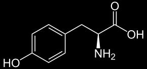 Neesencijalna aminokiselina koja se nalazi u čokoladi je tirozin. Ima molekulsku formulu C9H11NO3 i talište 344 ºC.