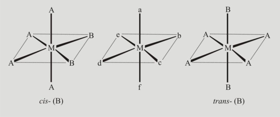 cis- i trans- izomerija oktaedarskih kompleksa Geometrijska cis- i trans- izomerija dolazi do izražaja i jasno se može uočiti kod oktaedarskih