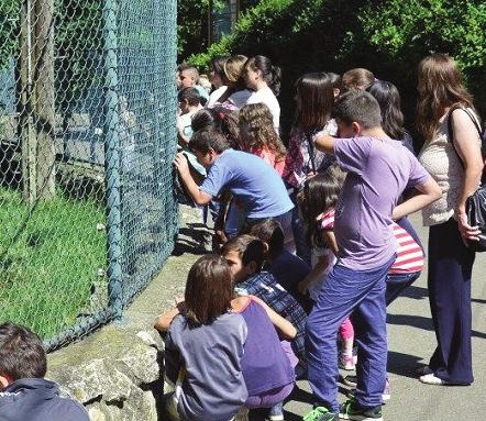 U poslu najbitnijim smatram stabilnu unutrašnju organizaciju i međuljudske odnose, koji su zasnovani na uvažavanju, otvorenosti i informisanosti kolega.