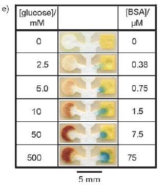 Na slici pod a) prikazano je djelovanje mikrofluidičkog uređaja, a na slici pod b) razine obojenja pri različitim koncentracijama glukoze, odnosno proteina. Preuzeto i prilagođeno iz [10]. 1.2.