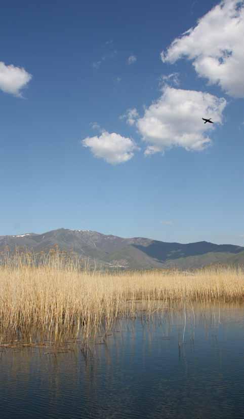 WWF poziva na pažljivije donošenje odluka o izgradnji brana: 1. Predlozi za izgradnju novih hidroelektrana moraju biti u skladu sa međunarodno priznatim standardima održivosti (npr.