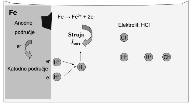 depolarizacija. Ionizacija metala se događa na anodnim dijelovima površine, a depolarizacija na katodnim dijelovima.