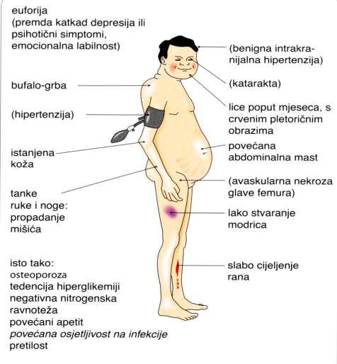 klor i hipertenzija)