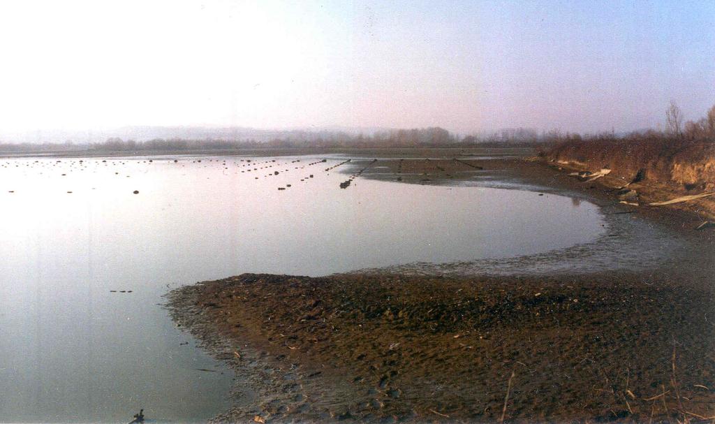 Faunistika studije Fauna ptica ribnjak jaka a Dokmir Avifauna of Dokmir fishpond 121 Raković, M. & Novaković, B.