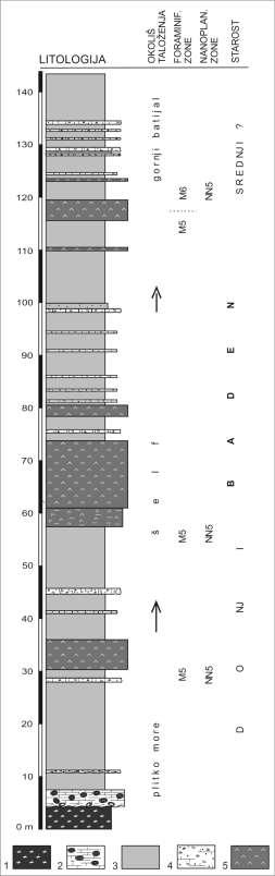 Slika 1.4. Geološki stup Nježić.