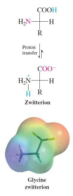 Dipolarni ili dvojni jon (zwitterion), poznat i kao unutrašnja sol, jest