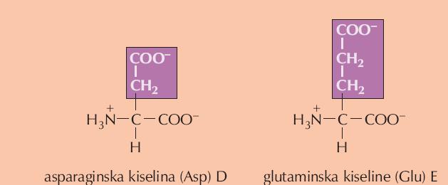 Kisele aminokiseline (u bočnom ogranku imaju karboksilnu