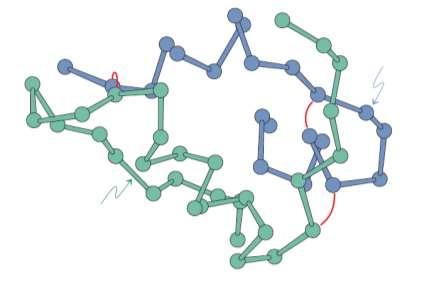 Inzulin predstavlja dobar primjer trodimenzionalne strukture koju čini kompleksna sekvenca aminokiselina Sastoji se iz 51 aminokiseline raspoređene u dva lanca A i B.