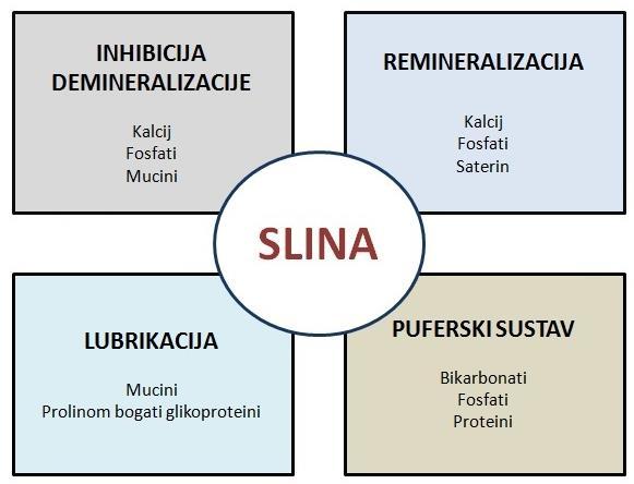 1.2. Mineralni sastav sline i pušenje Slina je složena tekućina sastavljena od vode, organskih i anorganskih tvari.