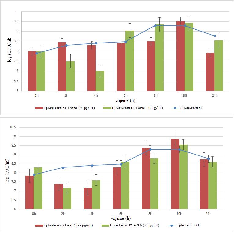 Slika 5. Utjecaj AFB1 u koncentracijama 20 i 10 µg/ml (gore) i ZEA u koncentracijama 75 i 50 µg/ml (dolje) na rast bakterije L.