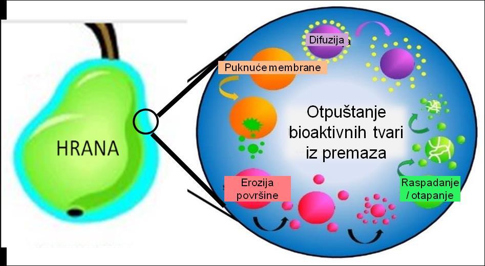 Pozicioniranje i otpuštanje bioaktivnih tvari iz premaza Kako