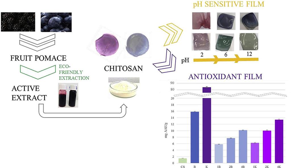 S ANTIOKSIDANSIMA ph osjetljiv film Funkcionalnost Komina voća Ekstrakt s aktivnim tvarima