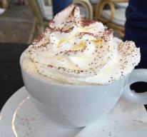 trinken Kaffee mit Sahne trinken jeden Tag zu Hause frühstücken oft ins Restaurant gehen dem Kellner ein kleines Trinkgeld geben keine Süßigkeiten essen Vegetarier oder