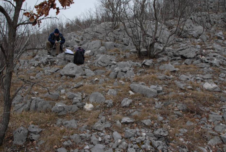 3.2. GEOLOŠKA GRAĐA LEŢIŠTA Podruĉje istraţnog prostora arhitektonskog kamena San i njegovog neposrednog okruţenja, izgraċeno je od gornjokrednih karbonata, vapnenaca i dolomita turon-senona (K 2,3 2