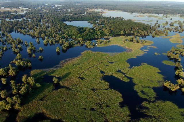 staništa ptica (IBA; eng. Important Bird Area) (Web 1), a 1993. godine uvršten je i na Popis međunarodno značajnih močvara ( List of Wetlands of International Importance ) (Mihaljević i sur. 1999).