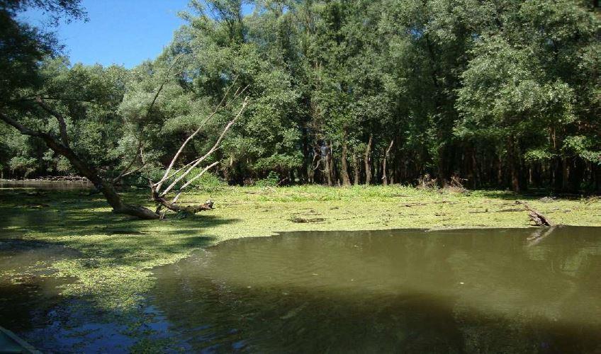 1,5 m. Jezero je Hulovskim kanalom povezano s Dunavom, a kanalom Čonakut sa Sakadaškim jezerom.