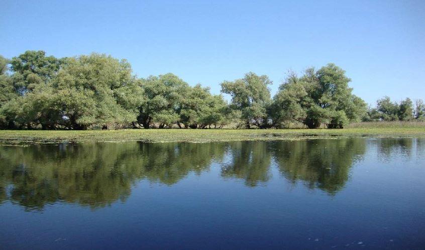 Slika 6: Kopačko jezero u vrijeme istraživanja u mjesecu srpnju 2013. godine (Izvor: Zavod za ekologiju voda).