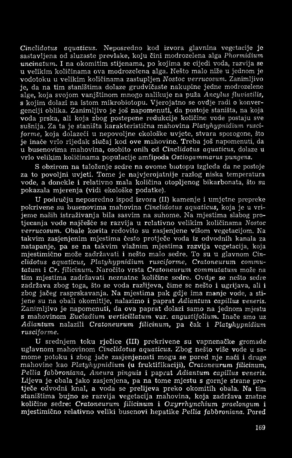 Zanimljivo je, da na tim staništima dolaze grudvičaste nakupine jedne modrozelene alge, koja svojom vanjštinom mnogo nalikuje na puža Ancylus fluviatilis, s kojim dolazi na istom mikrobiotopu.