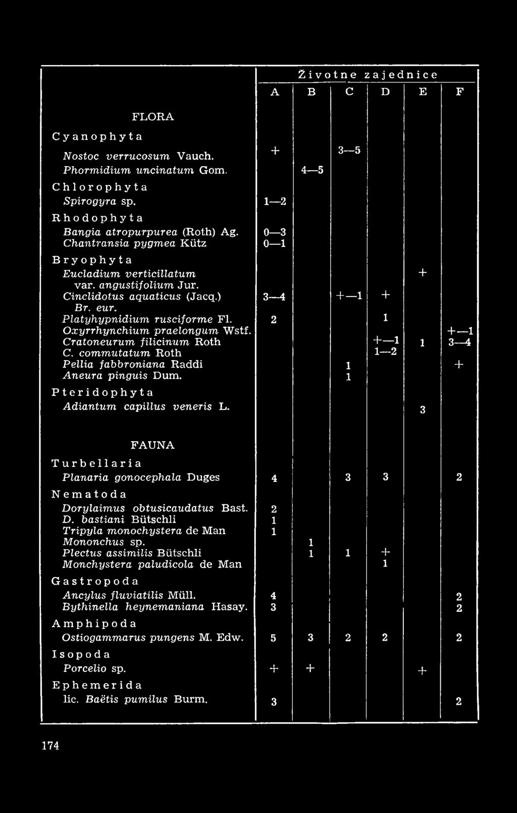 Platyhypnidium rusciforme Fl. 2 1 Oxyrrhynchium praelongum Wstf. + 1 Cratoneurum filicinum Roth C. commutatum Roth + 1 1 2 1 3 4 Péllia fabbroniana Raddi 1 + Aneura pinguis Dum.