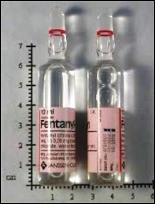 Anestezija injekcijska Ksilazin/ketamin