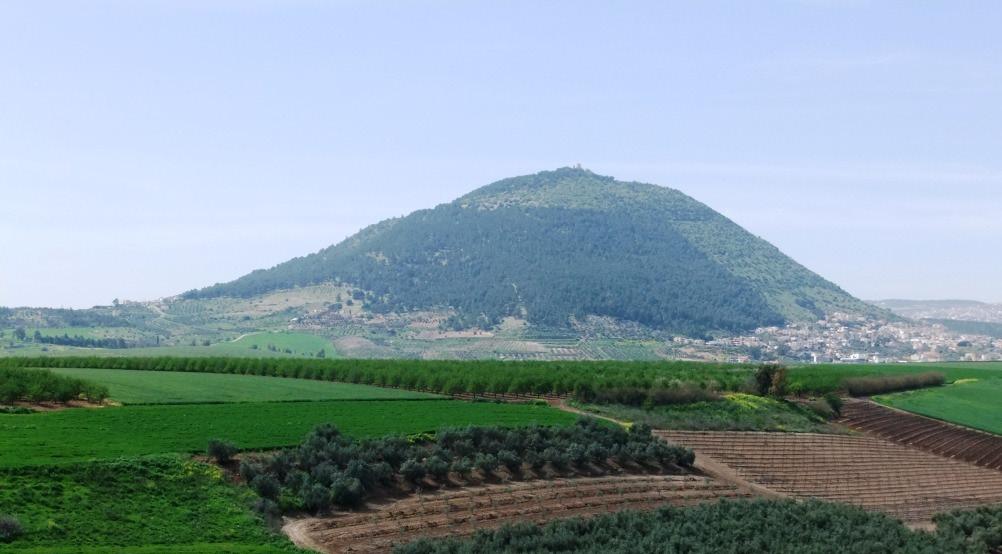 čak do ishoda bitke, ona daje Baraku viziju osvajanja što ga je trebalo potaknuti na neposredno djelovanje.