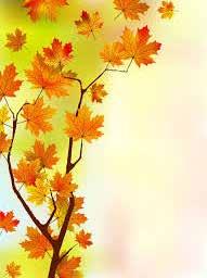 POETSKI KUTAK: Drago Čingel NAŠE ZDRAVLJE JESEN JE MILA Zapisao sam naše reči na jesenjem lišću mila i još sam kiše nacrtao snene.