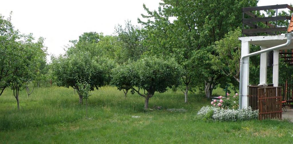 II Oпис природних, створених и предеоних одлика Између Омољице и Брестовца, као и у викенд-зони јужно од Омољице, присутни су низови приобалних парцела које се већим делом користе као породичне баште