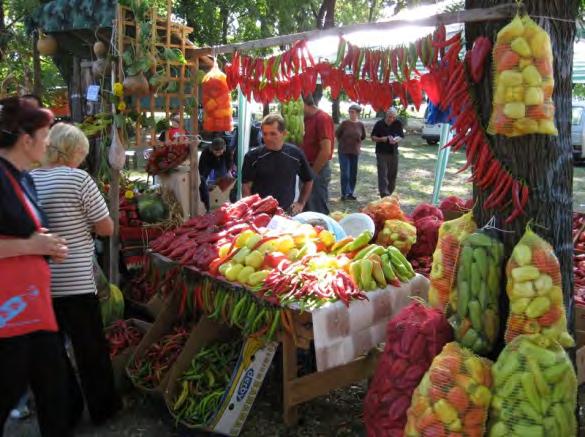 Највише излагача је из овог места које је надалеко познато по производњи паприке али има и пуно учесника и гостију из других крајева земље.