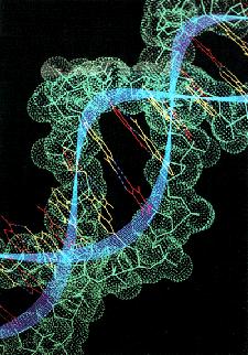 DNA Gantner / Principi
