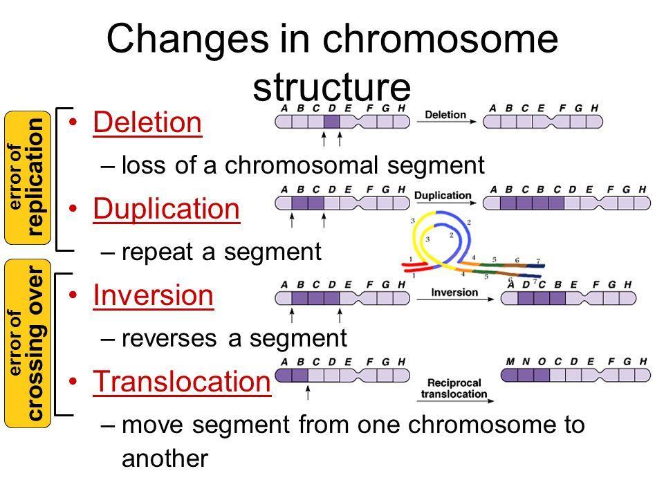 kromosomske mutacije: - promjene u