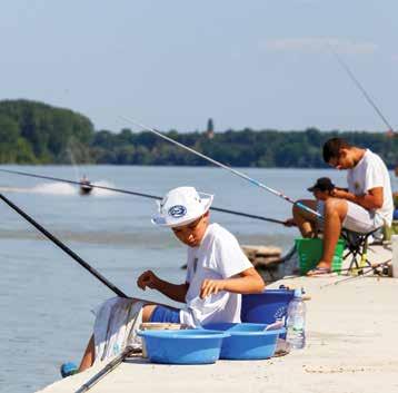 ribolov Za ljubitelje ribolova nema boljeg mjesta za ovaj vid rekreacije i opuštanja, ali i dobrog ulova, od dunavskih voda i rukavaca.