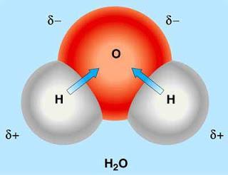 2.OSNOVNE ZNAČAJKE VODE 2.1. Struktura vode Autori udžbenika Živi svijet 3govore o građi vode za čiju molekulu kažu da je vrlo jednostavna.