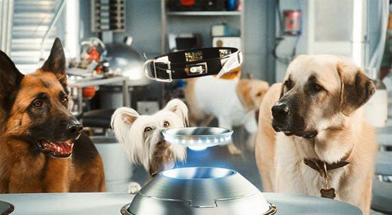 O maĉkama i psima (2001.) Film O mačkama i psima redatelja Lawrenca Gutermana bio je pravo osvjeţenje u svijetu filma.