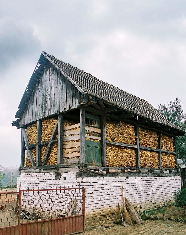 Tradicijska Kuća Slavonije i Baranje Priručnik za obnovu Ratarstvo postaje važan oblik poljoprivrede, što ujedno utječe na izgled i razvoj okućnice - veličinu i broj stambenih i gospodarskih zgrada.
