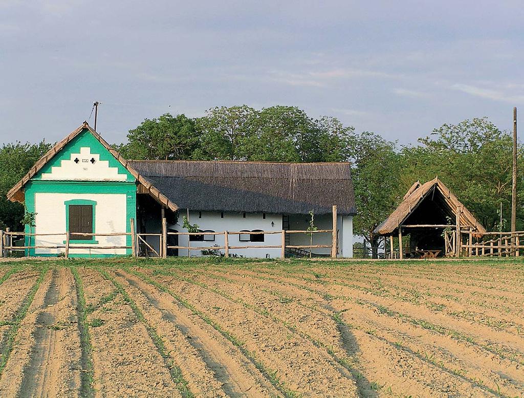 Tradicijska Kuća Slavonije i Baranje
