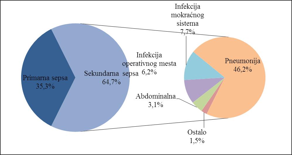 Grafikon 5. Izvor infekcije kod pacijenata sa sepsom. 4.1.6.3.