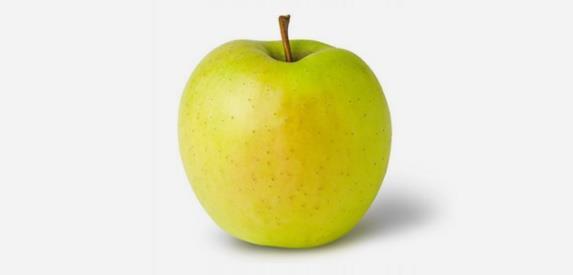 - srednje veliki do veliki (150-220 g), konusnog oblika Boja jabuke Zlatni Delišes temeljna zlatnoţuta boja u vrijeme berbe ĉuvanjem postaje ţuta Slika 2.
