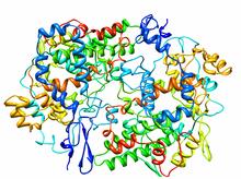 2.1.3.2. Enzim ciklooksigenaza Cikooksigenaza je enzim odgovoran za tvorbu važnih bioloških medijatora prostanoida, kao što su prostaglandini, prostaciklin i tromboksan.