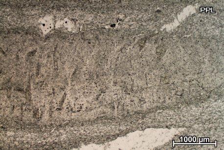 Šamanovica 2 Tekstura stijene je škriljava. Mineralni sastav uzorka: klorit ( 30 vol.%), muskovit ( 25 vol.%), kvarc ( 25 vol.