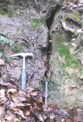 IZVOR 3 Jedan od izvora potoka Jalševec je kaptirani izvor Koritača (Slika 6.17.). Radi se o stalnome izvoru, na kontaktu propusnog i nepropusnog. Nepropusno tlo na ovome mjestu je glinoviti lapor.