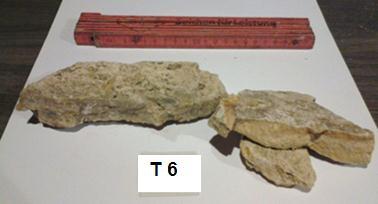 zatim 40 cm masivnog čvrstog lapora, sa više vapnenačke komponente i fosilnim sadržajem, sloj je gotovo horizontalan te do kraja iskopne jame, oko 50-55 cm slijedi