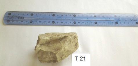 metara n.m. Uzet je uzorak broj 21. Masnog je i mekanog opipa, s vidljivim fosilima.