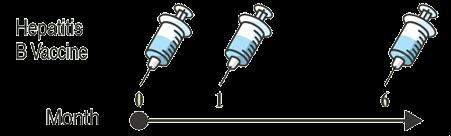 HBV infekcija -Prevencija Vakcina subjedinična/vlp - sadrži HBsAg Kompletna zaštita kada se daju 3 doze (O