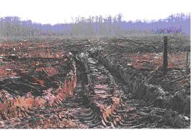 Šteta na tlu Slika 15. Šteta na tlu Svi se strjevi pri kretanju i radu mraju pridržavati mjera zaštite tla i klne sastjine.