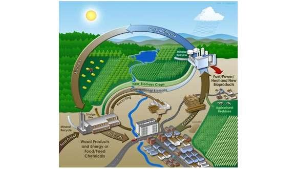 (primarna energija) do mjesta korištenja (korisna energija) pretvorbom u neki od derivata poluproizvoda (bioplin, peleti, briketi, ogrjevno drvo ).